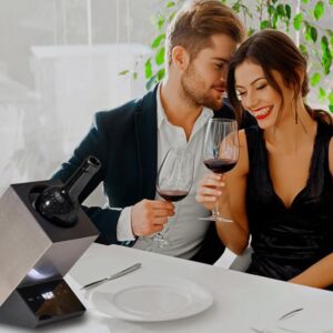 Wine Chiller Electric,Cobalance Chillers Bucket for 750ml Red & White or Some Champagne,Stainless Steel Single Bottle Iceless Cooler,Kitchen Bar RV Accessory,Gift Lovers Stainless 1 Bottle